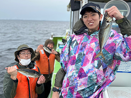 マアジの釣果