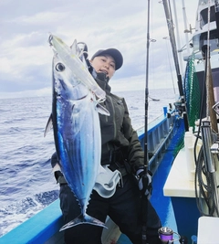 カツオの釣果