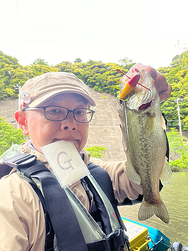 ラージマウスバスの釣果