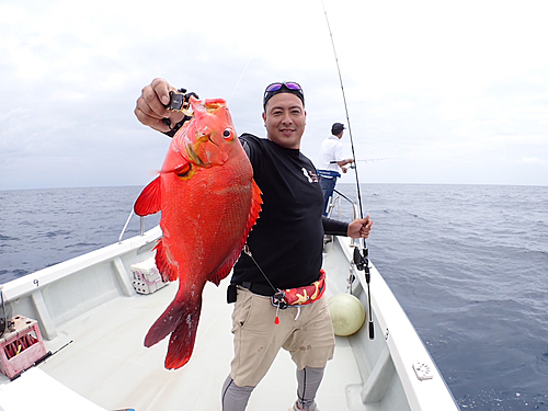 ヒメフエダイの釣果