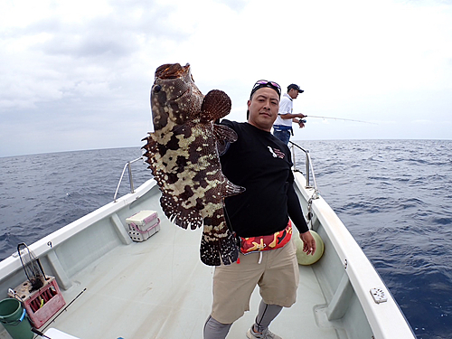 マダラハタの釣果