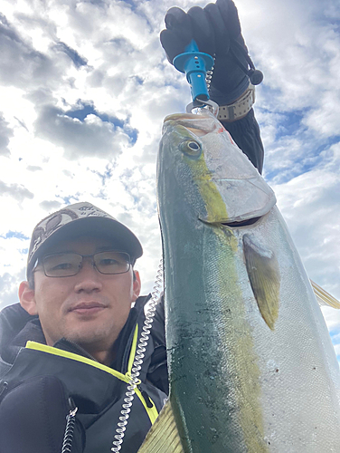 メジロの釣果