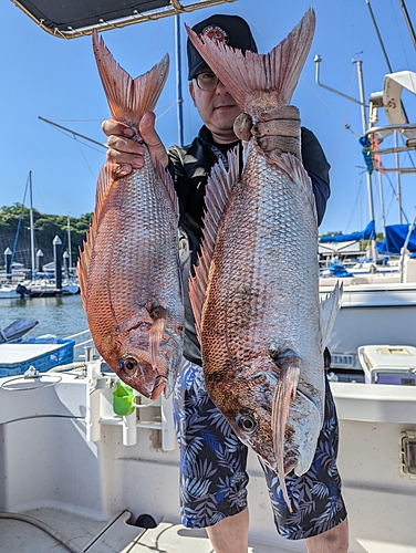 タイの釣果