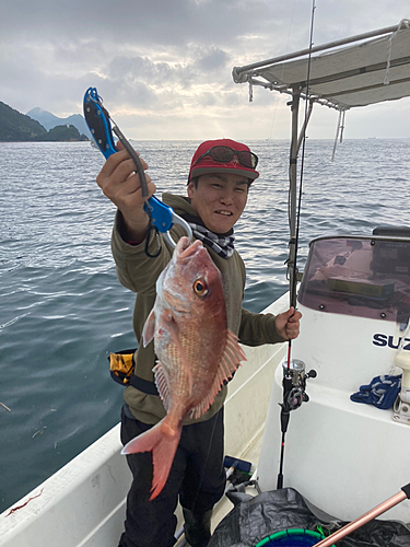 タイの釣果