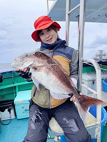 マダイの釣果