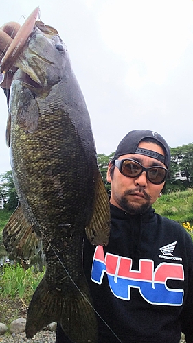 スモールマウスバスの釣果