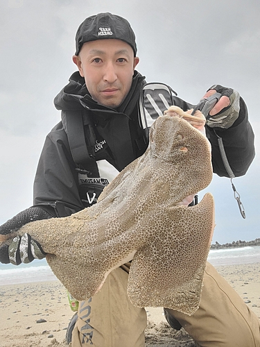 カスザメの釣果