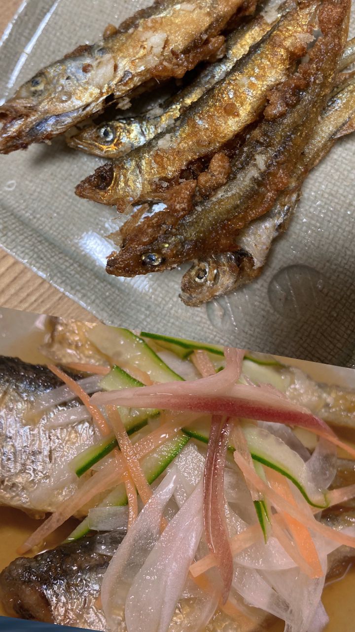 サッパ