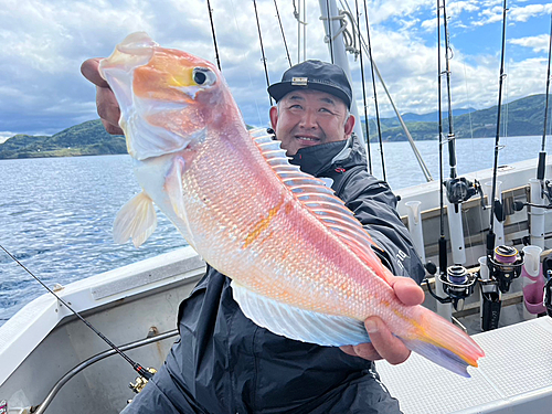 アマダイの釣果