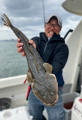 マゴチの釣果