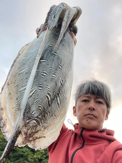 モンゴウイカの釣果