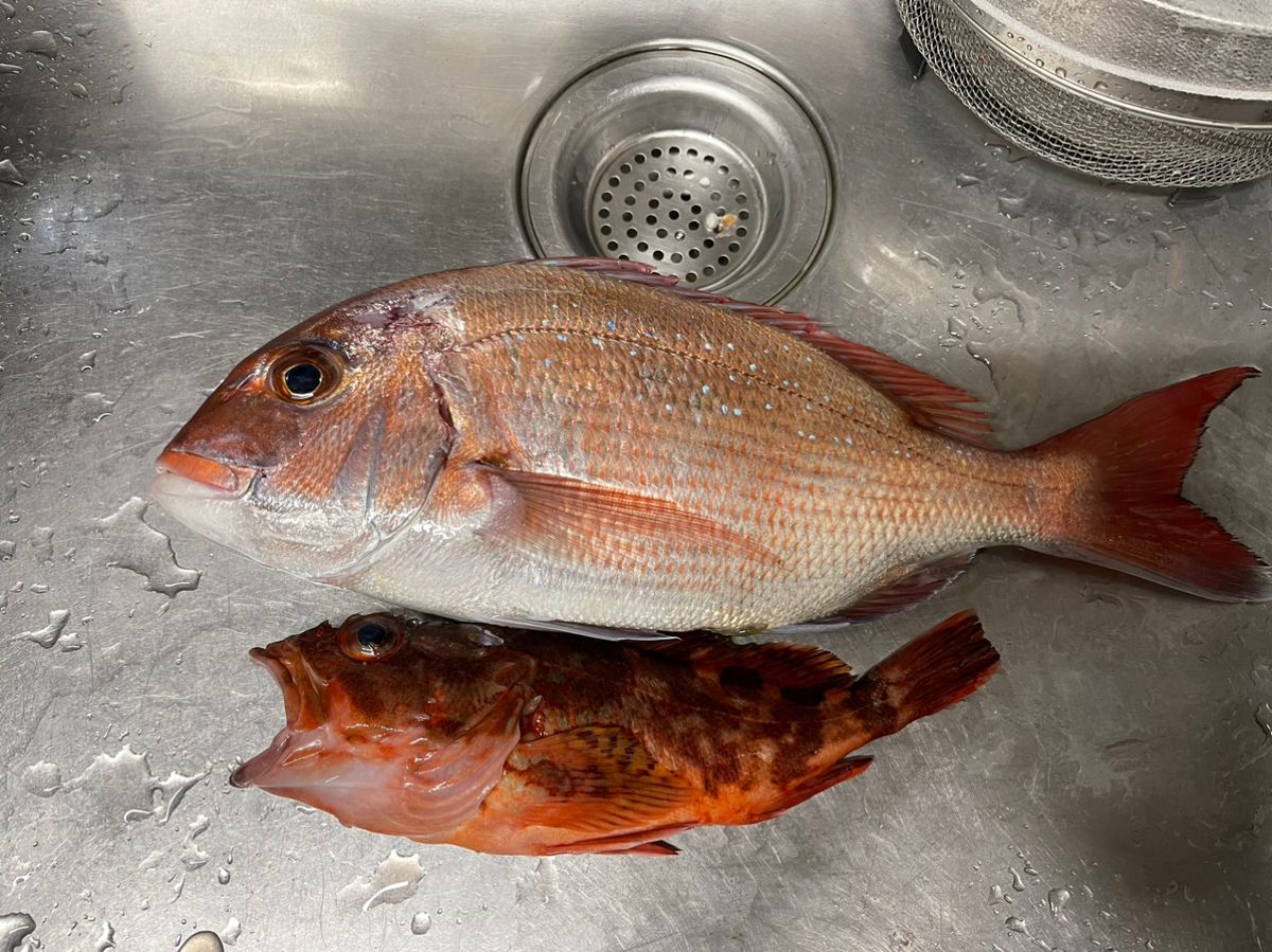 下町擬似餌釣好おじさんさんの釣果 1枚目の画像