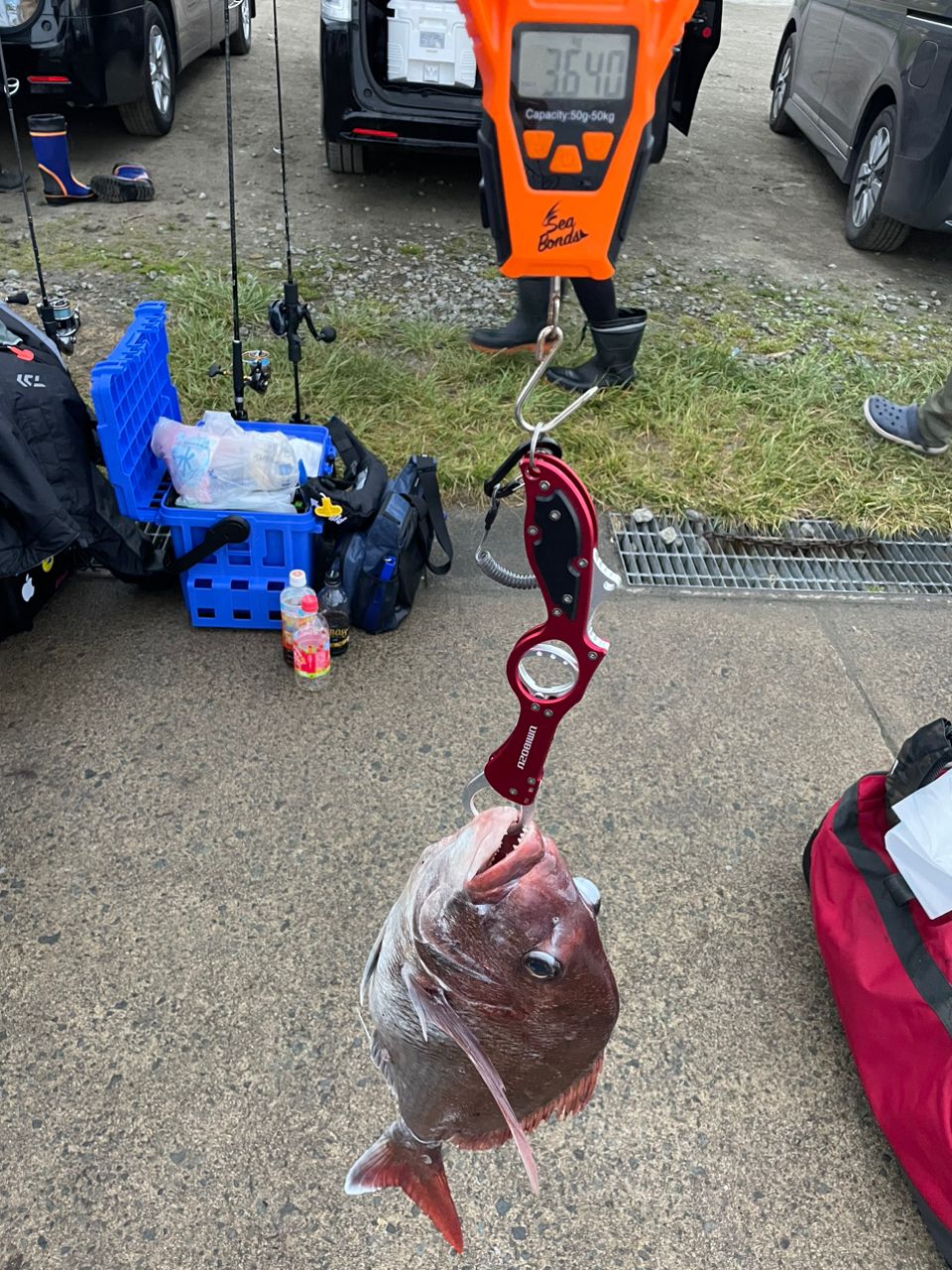 奥州ベッ子さんの釣果 2枚目の画像