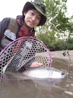 スチールヘッドの釣果