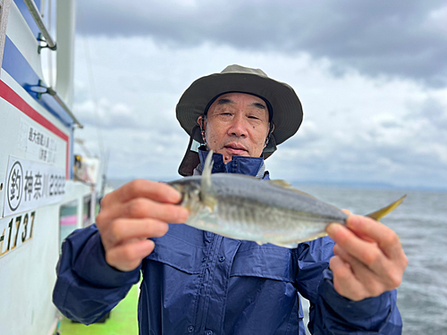 マアジの釣果