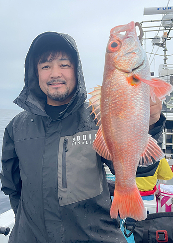 アカムツの釣果