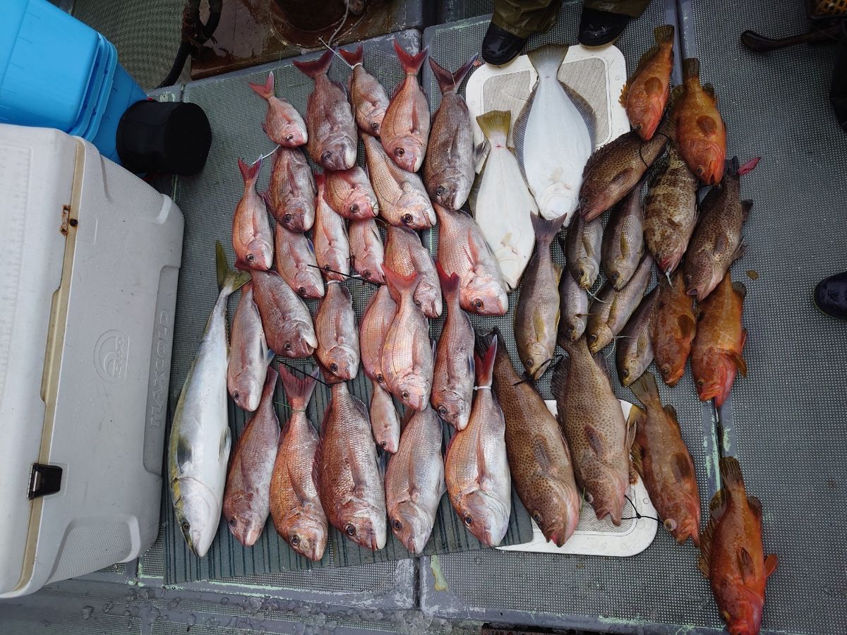 H_ishibashiさんの釣果 2枚目の画像