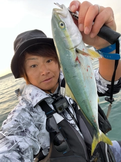 イナダの釣果