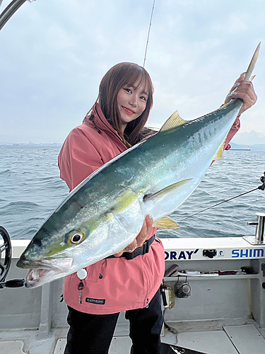 ブリの釣果