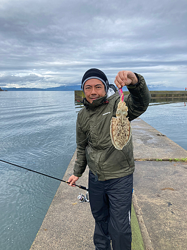 コウイカの釣果