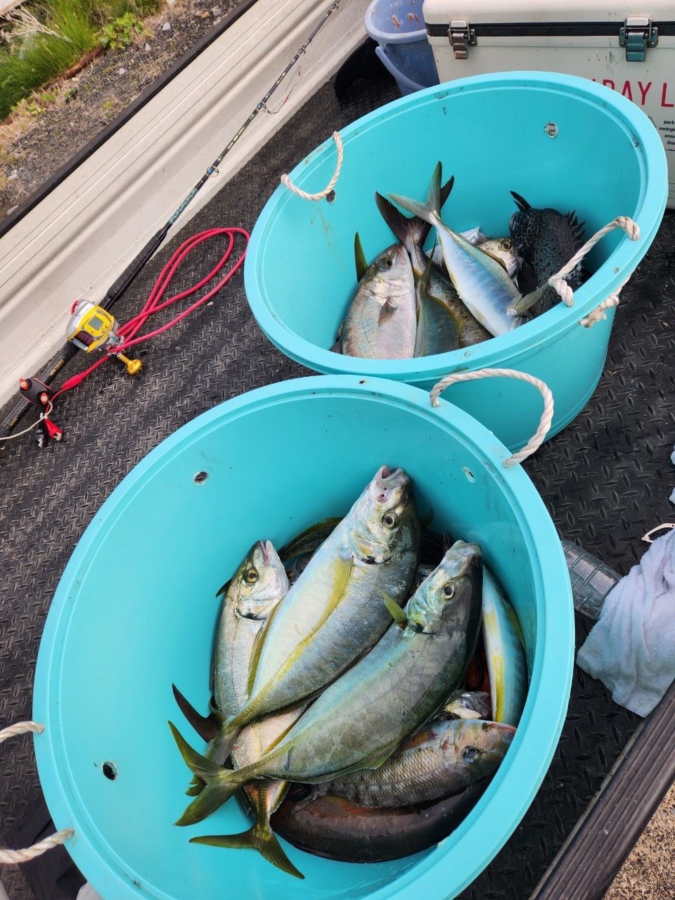 まっちゃん🐟🎣さんの釣果 1枚目の画像