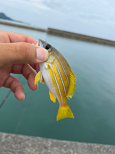 釣果