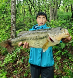 ブラックバスの釣果