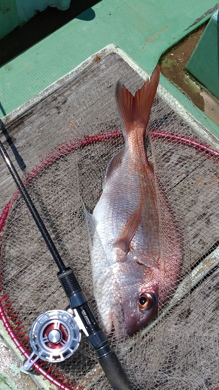 アングラークロさんの釣果 2枚目の画像