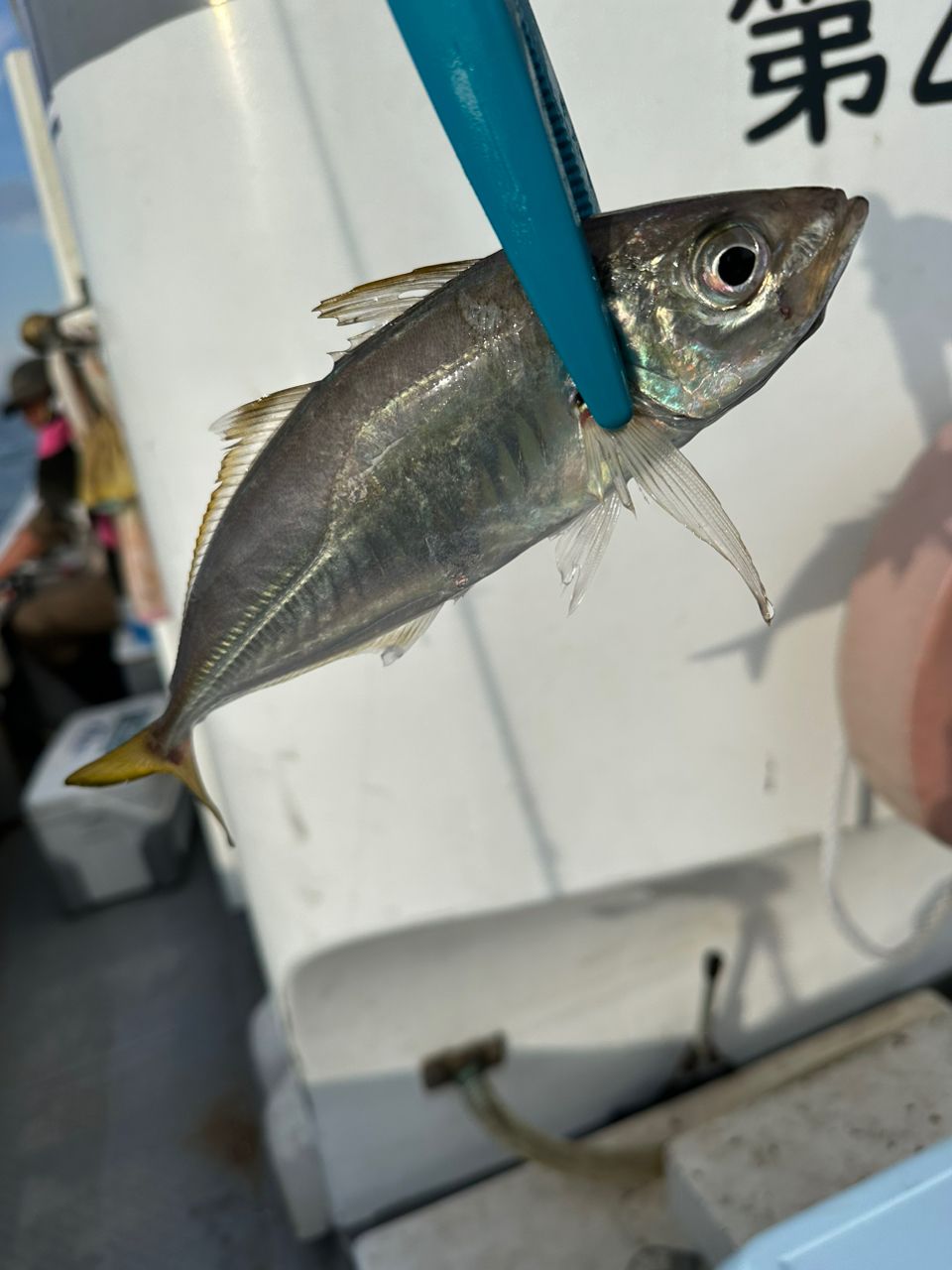 boat angler osetoさんの釣果 2枚目の画像