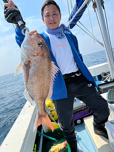 マダイの釣果