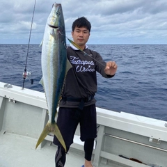 ツムブリの釣果