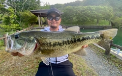 ブラックバスの釣果