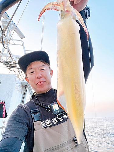 ヤリイカの釣果