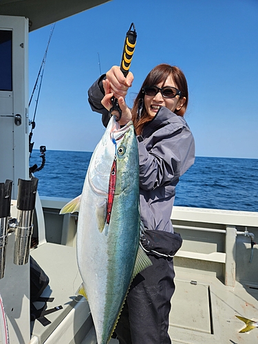 ブリの釣果