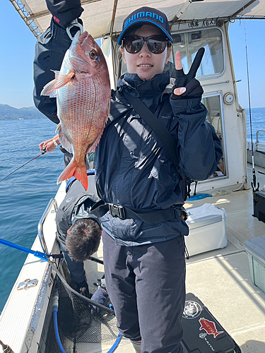 マダイの釣果