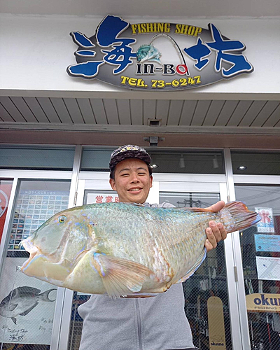 マクブの釣果