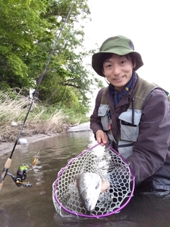 スチールヘッドの釣果