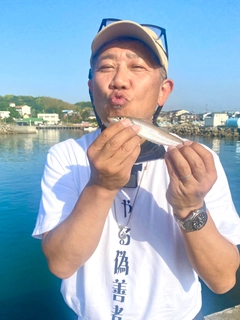 キスの釣果
