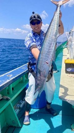 カマスサワラの釣果