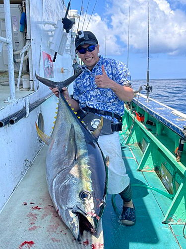 キハダマグロの釣果