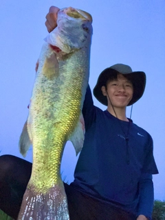 ブラックバスの釣果