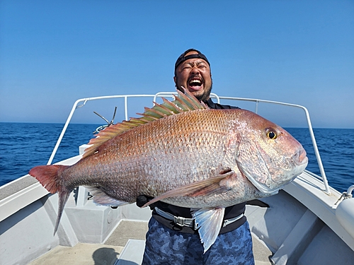 マダイの釣果