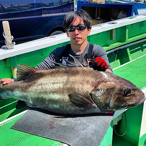 イシナギの釣果