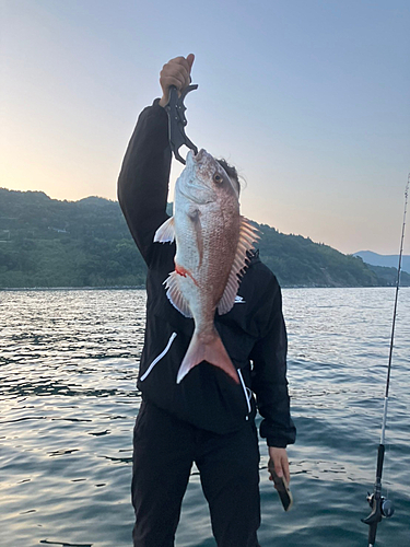 タイの釣果