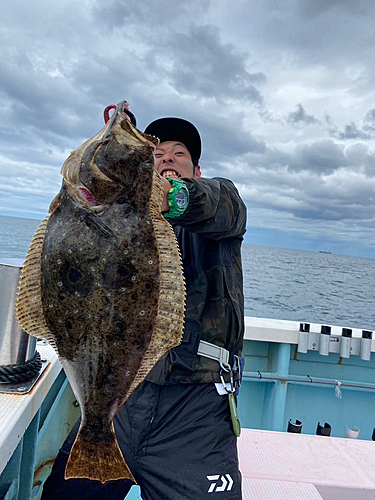 ヒラメの釣果