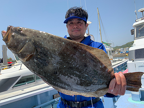 ヒラメの釣果