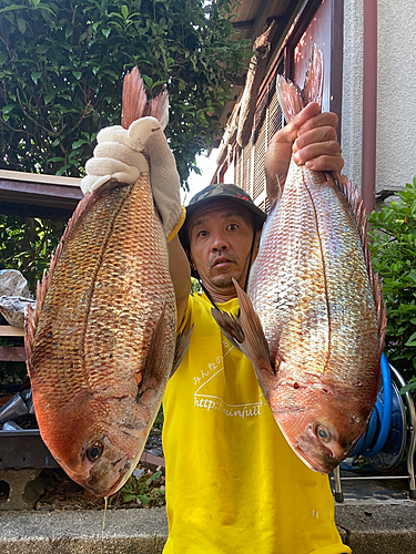 タイの釣果