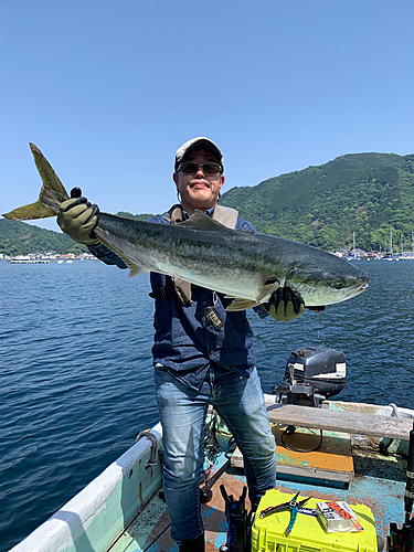 ブリの釣果