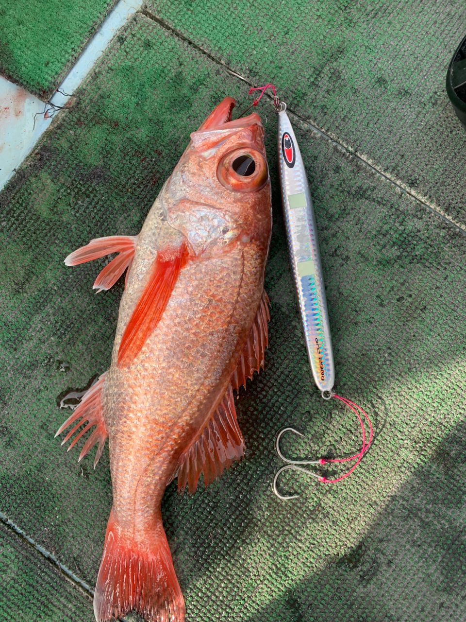 親指さんの釣果 1枚目の画像