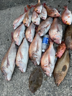 タイの釣果